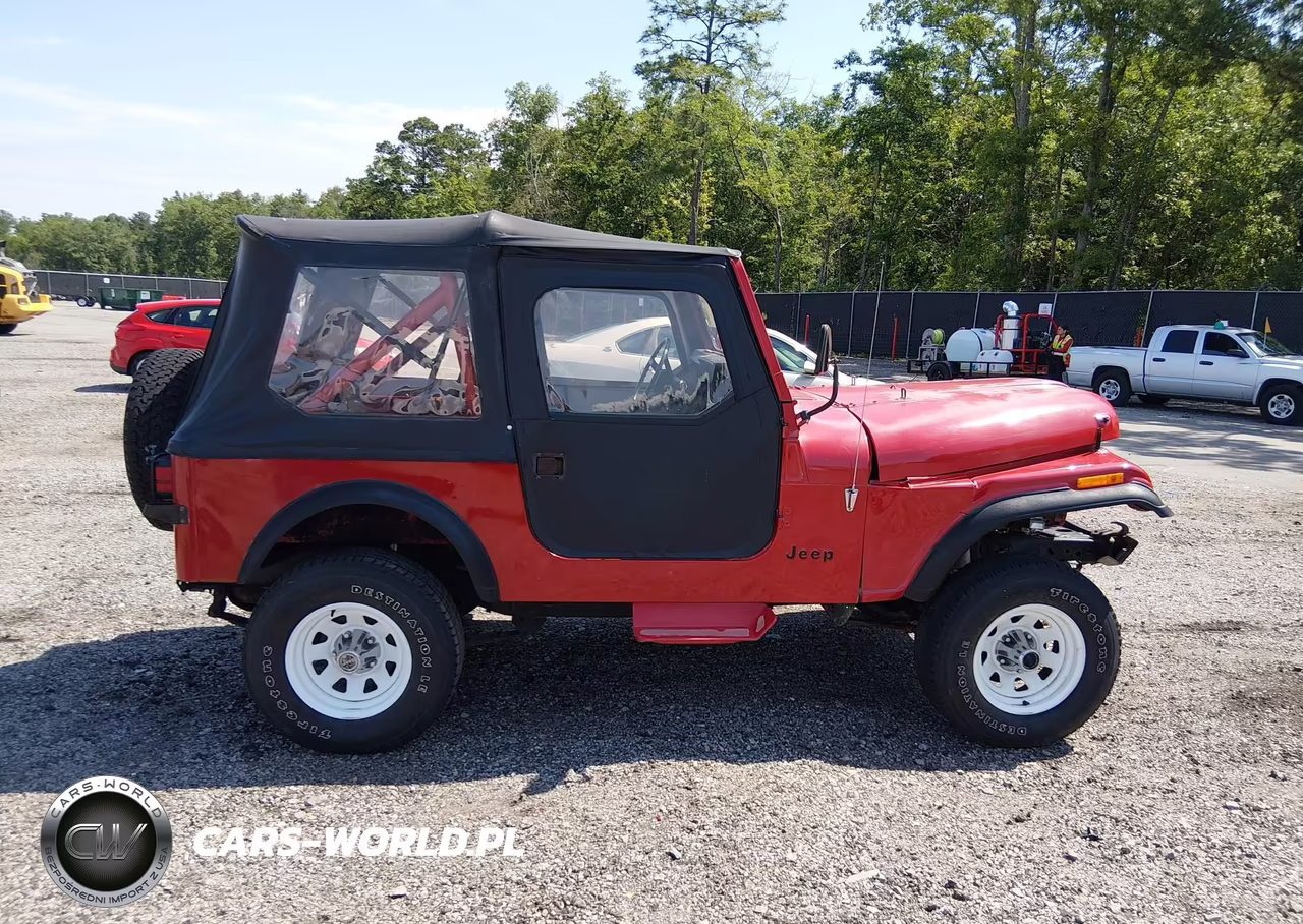 1986 Jeep Jeep Cj7 VIN:1JCCM87A8GT061389 - 13