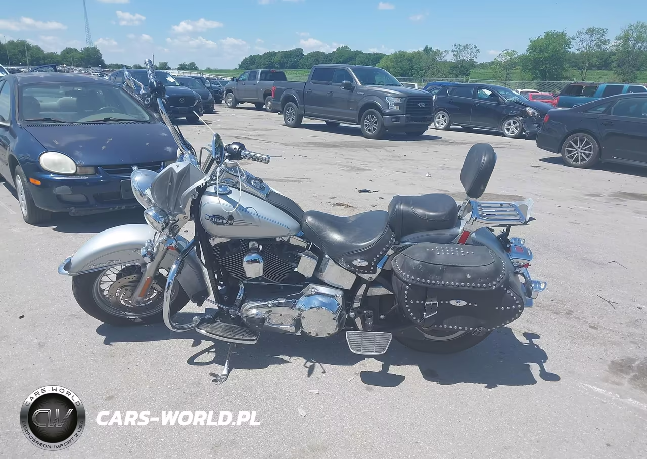 2005 Harley-Davidson Flstci VIN:1HD1BWB1X5Y030797 - 13