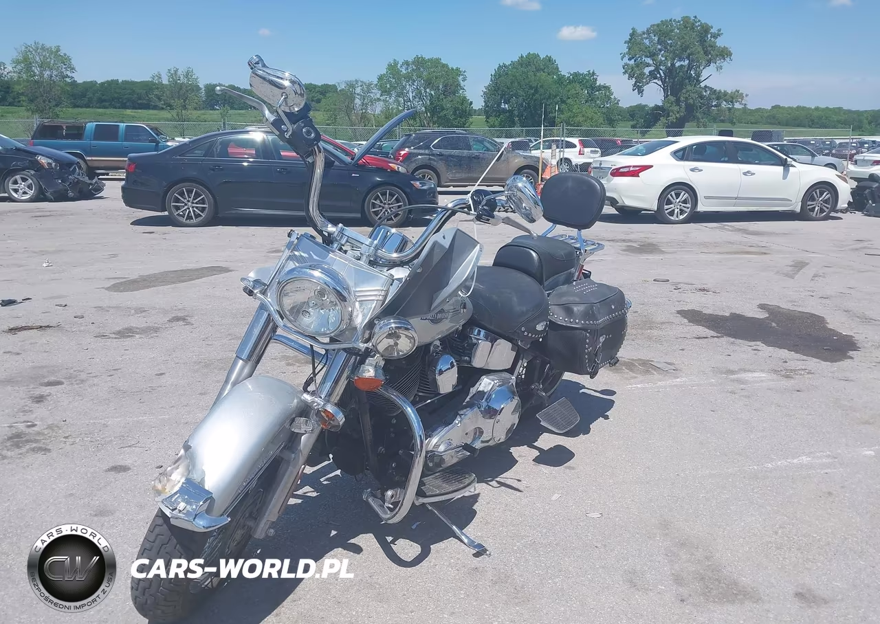 2005 Harley-Davidson Flstci VIN:1HD1BWB1X5Y030797 - 2