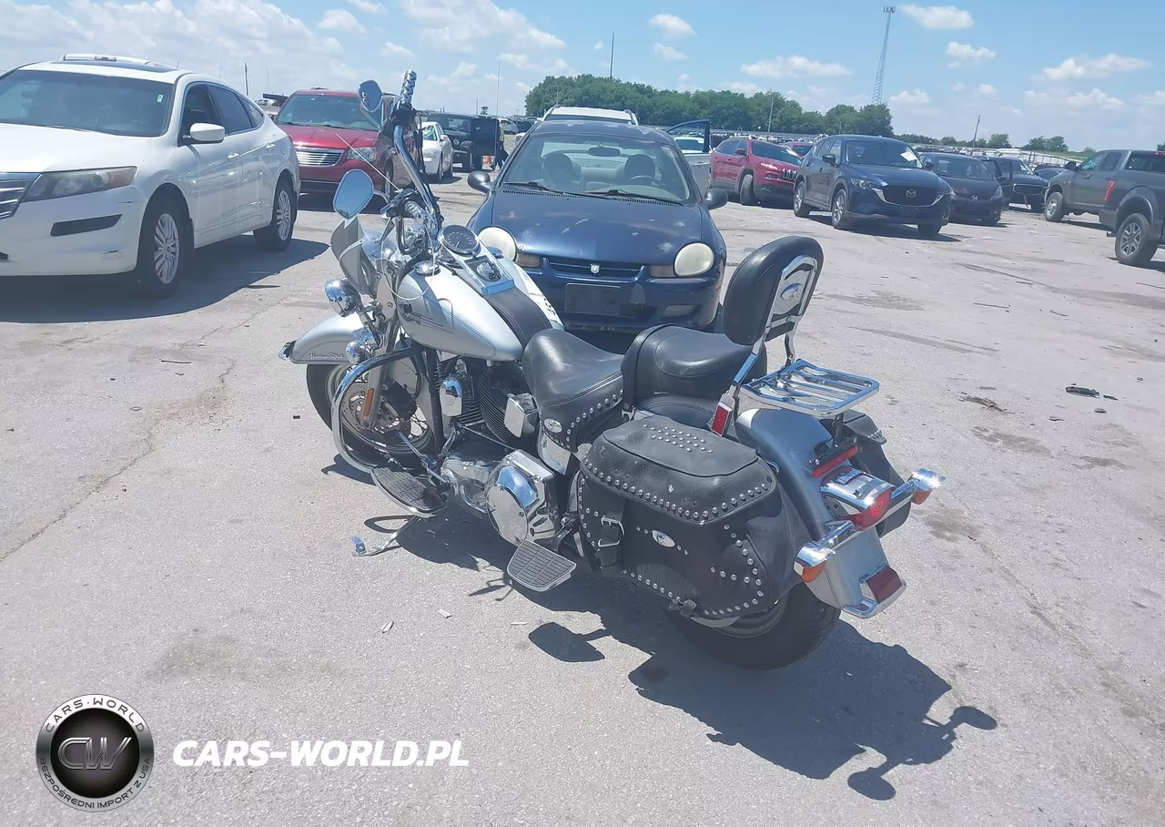 2005 Harley-Davidson Flstci VIN:1HD1BWB1X5Y030797 - 3
