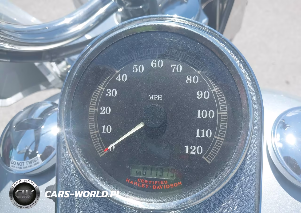 2005 Harley-Davidson Flstci VIN:1HD1BWB1X5Y030797 - 7