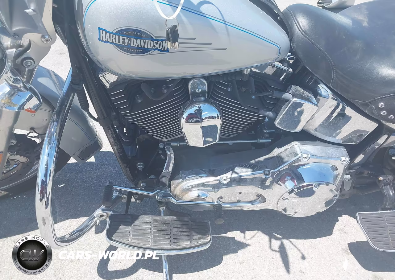 2005 Harley-Davidson Flstci VIN:1HD1BWB1X5Y030797 - 9