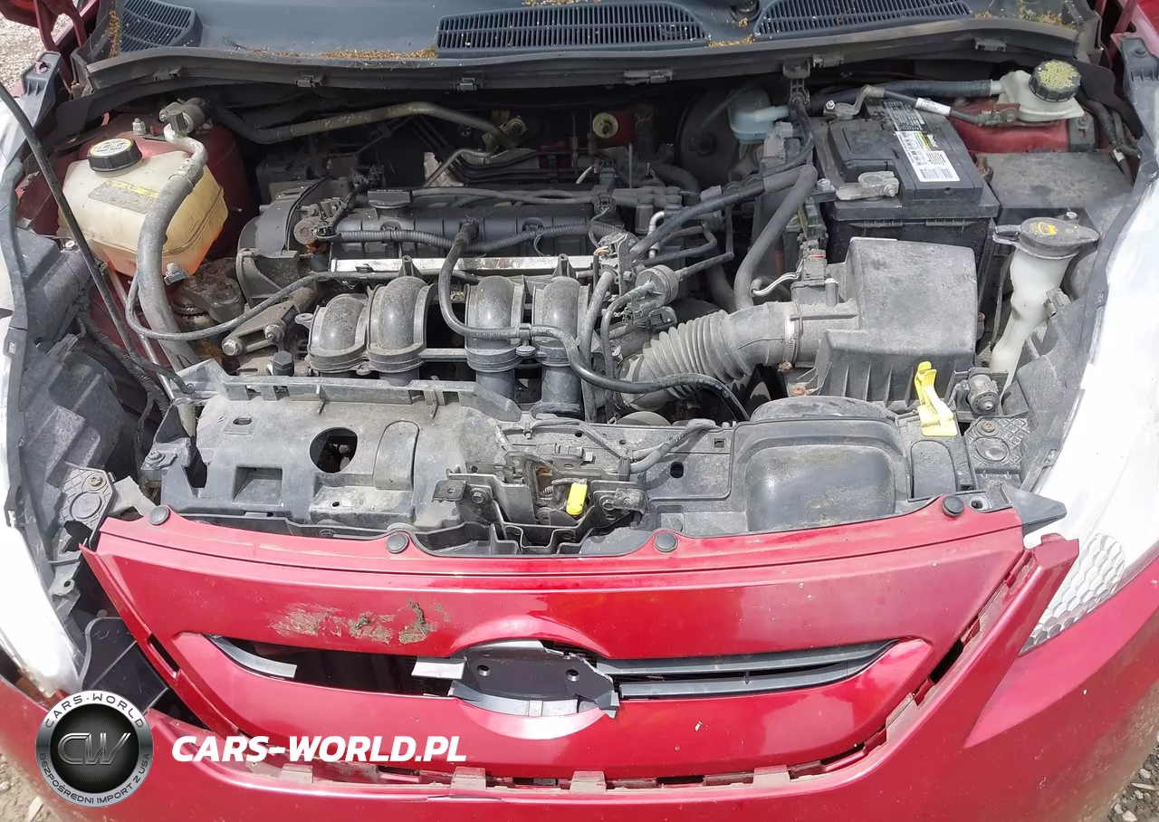 2013 Ford Fiesta Se VIN:3FADP4EJ1DM224666 - 10