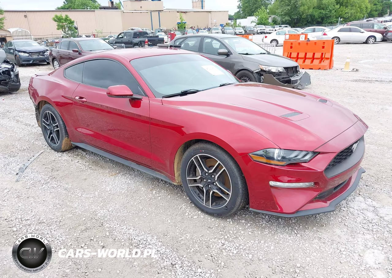 2019 Ford Mustang Ecoboost