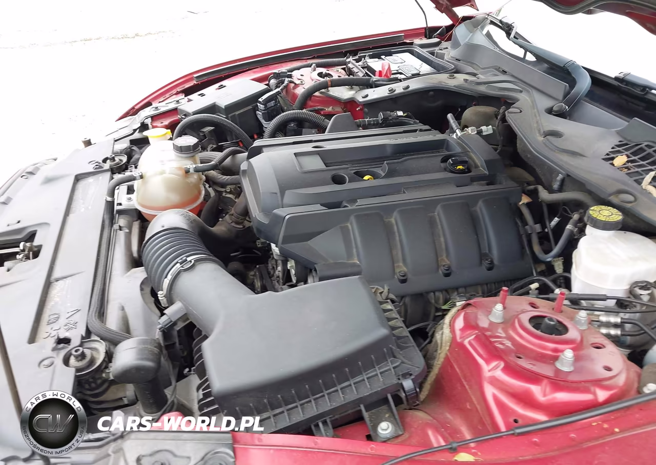2019 Ford Mustang Ecoboost VIN:1FA6P8TH7K5117799 - 10