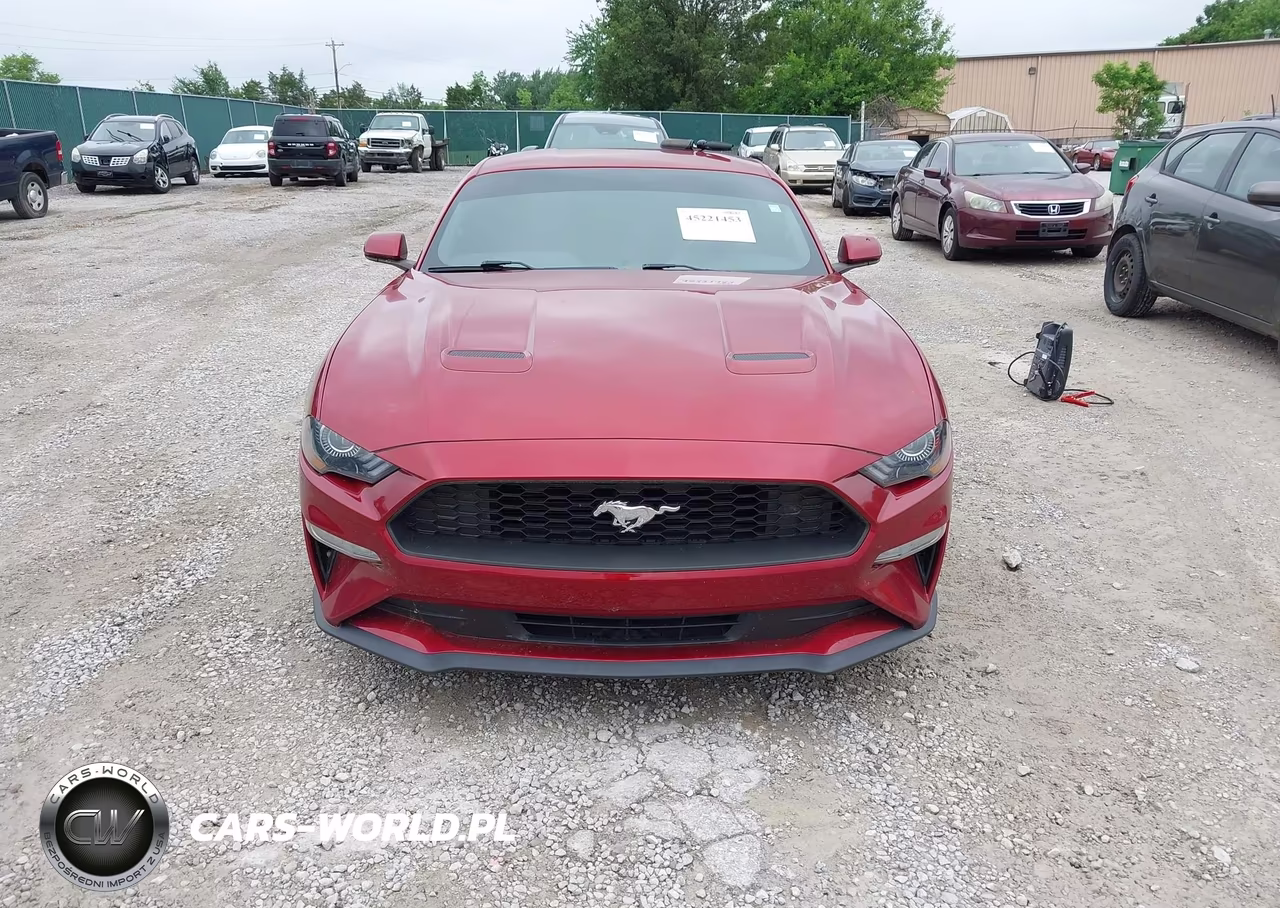 2019 Ford Mustang Ecoboost VIN:1FA6P8TH7K5117799 - 12