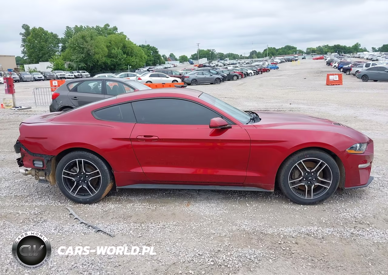 2019 Ford Mustang Ecoboost VIN:1FA6P8TH7K5117799 - 13