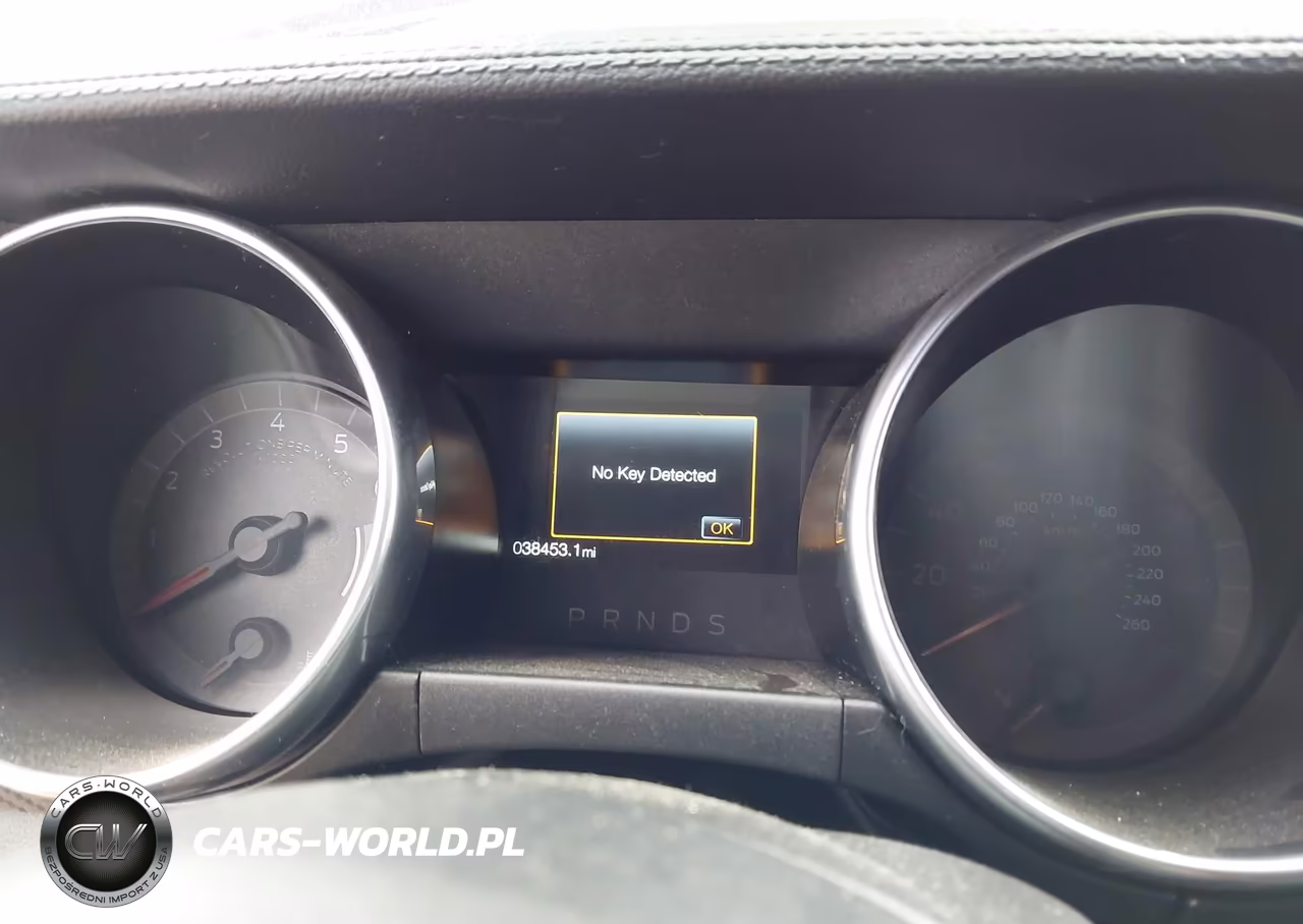 2019 Ford Mustang Ecoboost VIN:1FA6P8TH7K5117799 - 15
