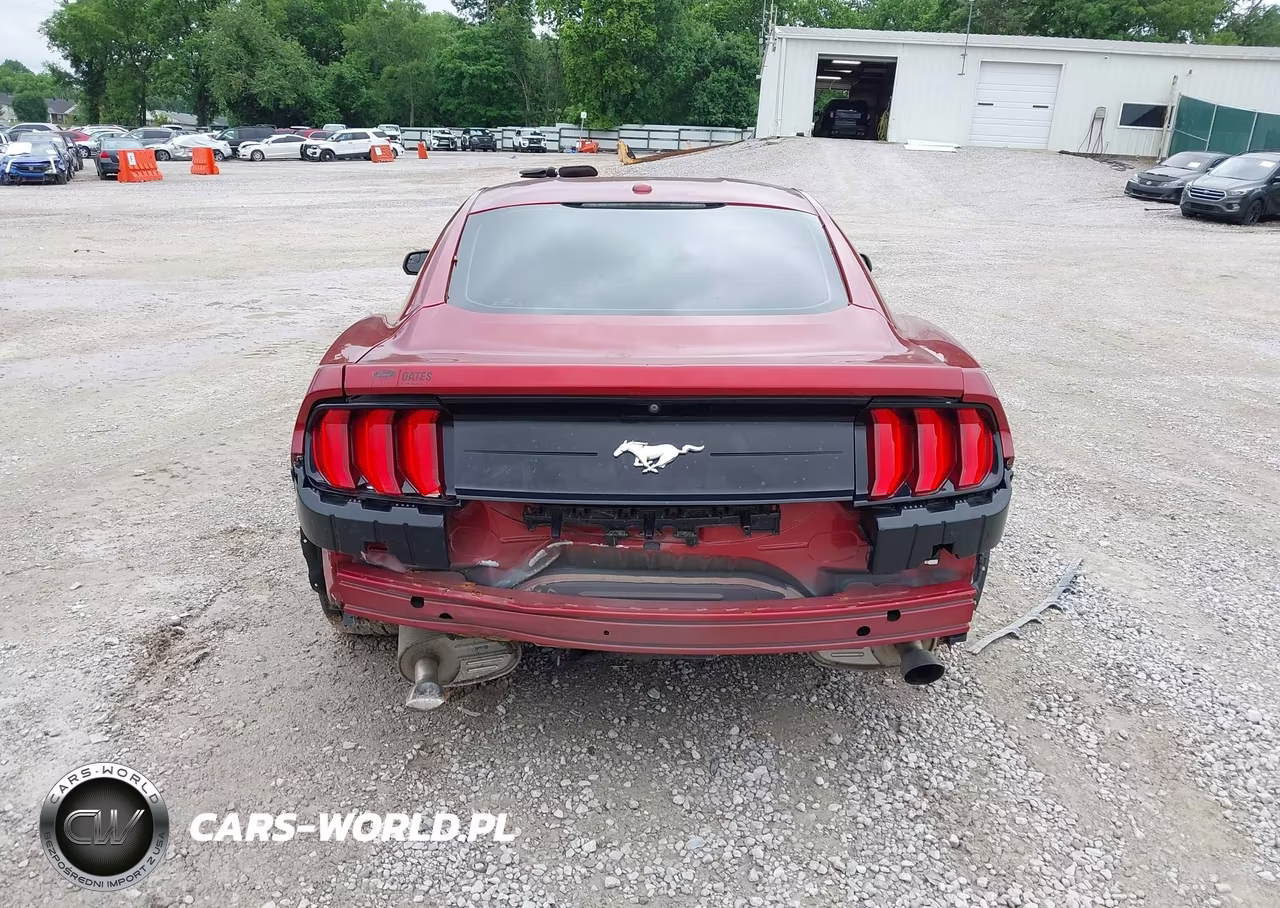 2019 Ford Mustang Ecoboost VIN:1FA6P8TH7K5117799 - 16