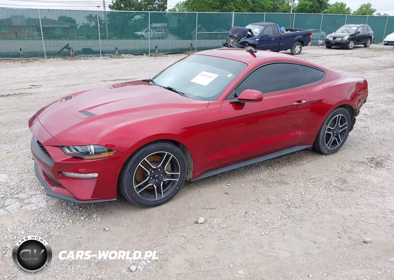 2019 Ford Mustang Ecoboost VIN:1FA6P8TH7K5117799 - 2
