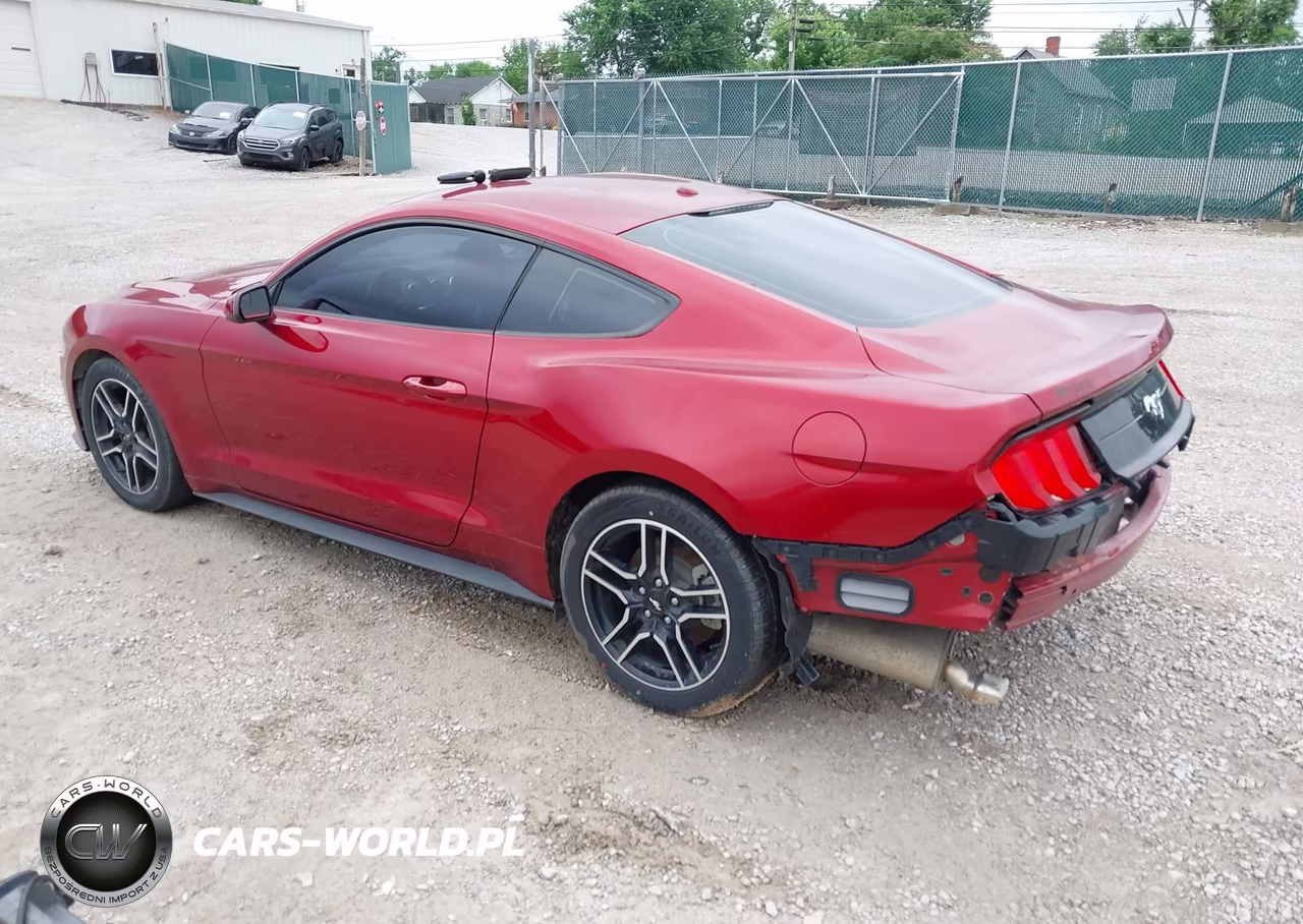 2019 Ford Mustang Ecoboost VIN:1FA6P8TH7K5117799 - 3