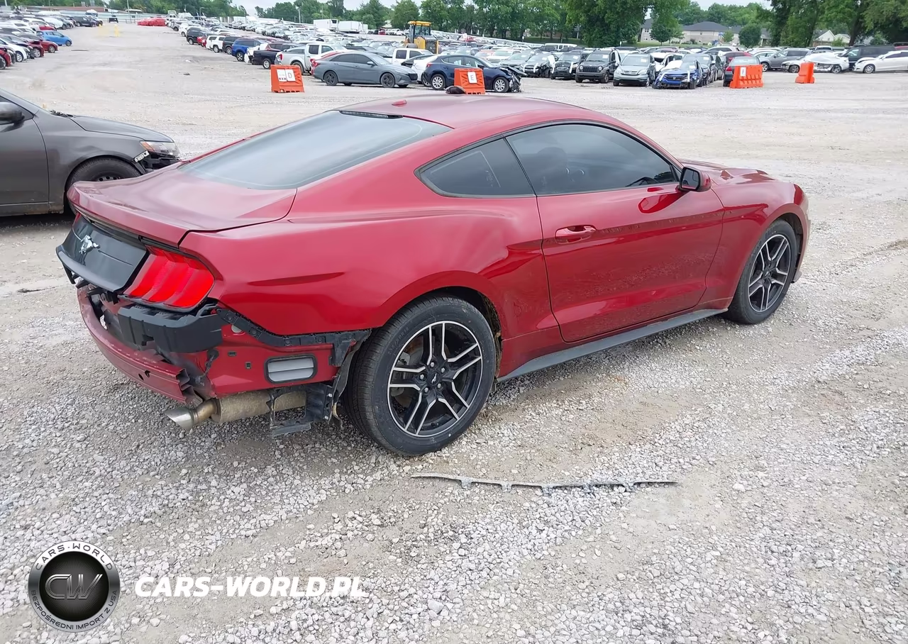 2019 Ford Mustang Ecoboost VIN:1FA6P8TH7K5117799 - 4