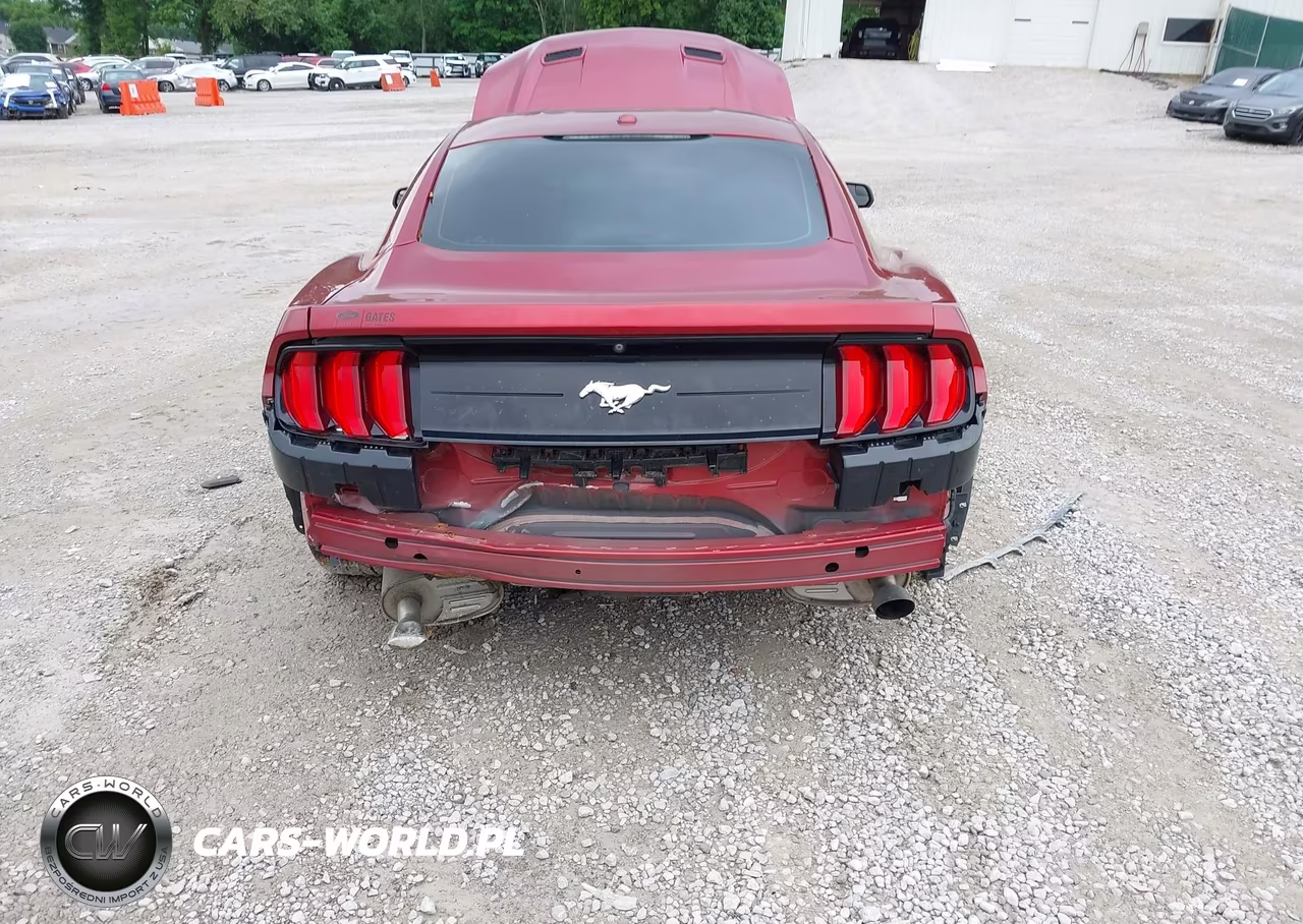 2019 Ford Mustang Ecoboost VIN:1FA6P8TH7K5117799 - 6