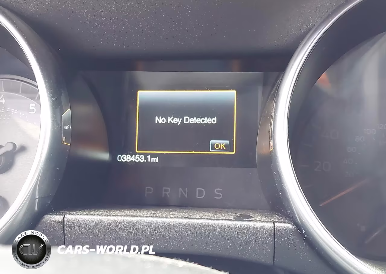 2019 Ford Mustang Ecoboost VIN:1FA6P8TH7K5117799 - 7