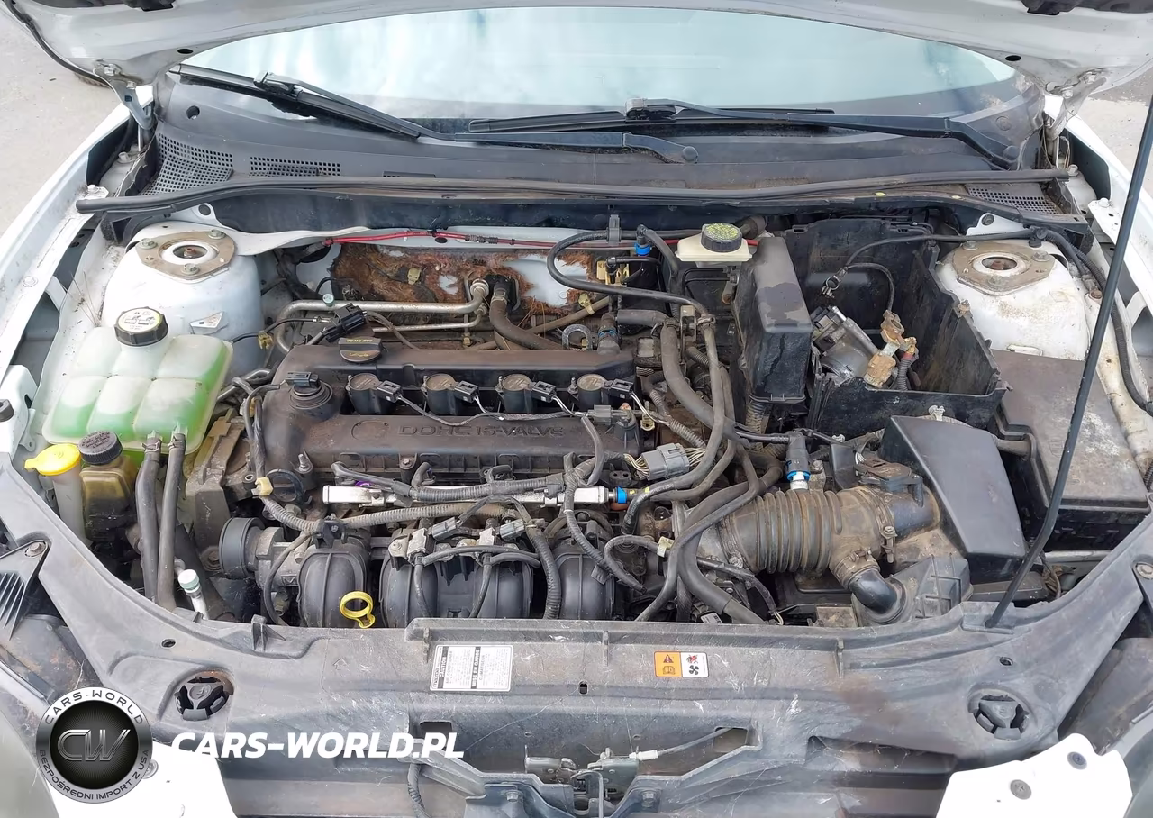 2005 Mazda Mazda3 S VIN:JM1BK323X51296917 - 10