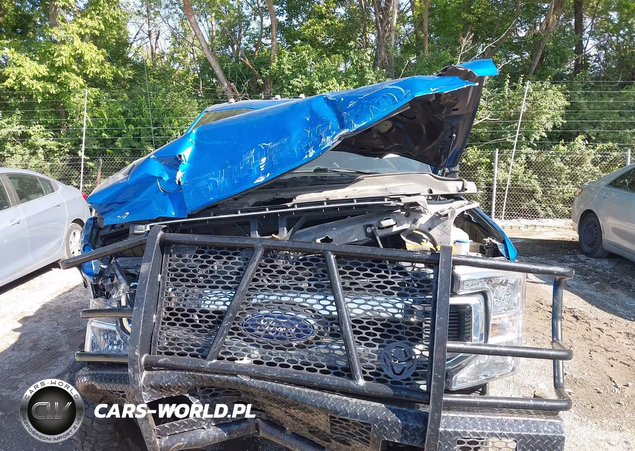 2020 Ford F-250 Xl VIN:1FT7W2BN8LEE59124 - 12
