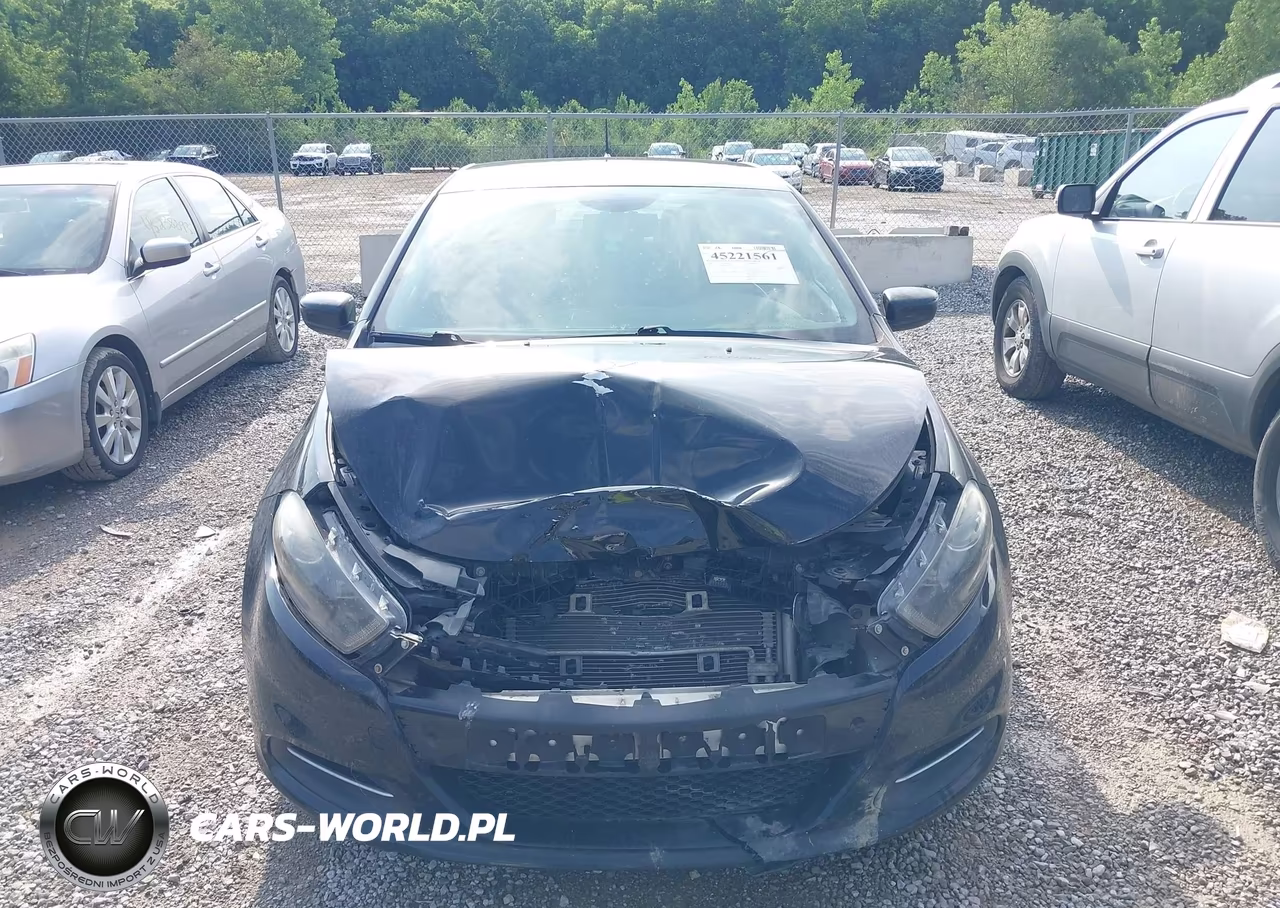 2013 Dodge Dart Sxt VIN:1C3CDFBA8DD346262 - 13