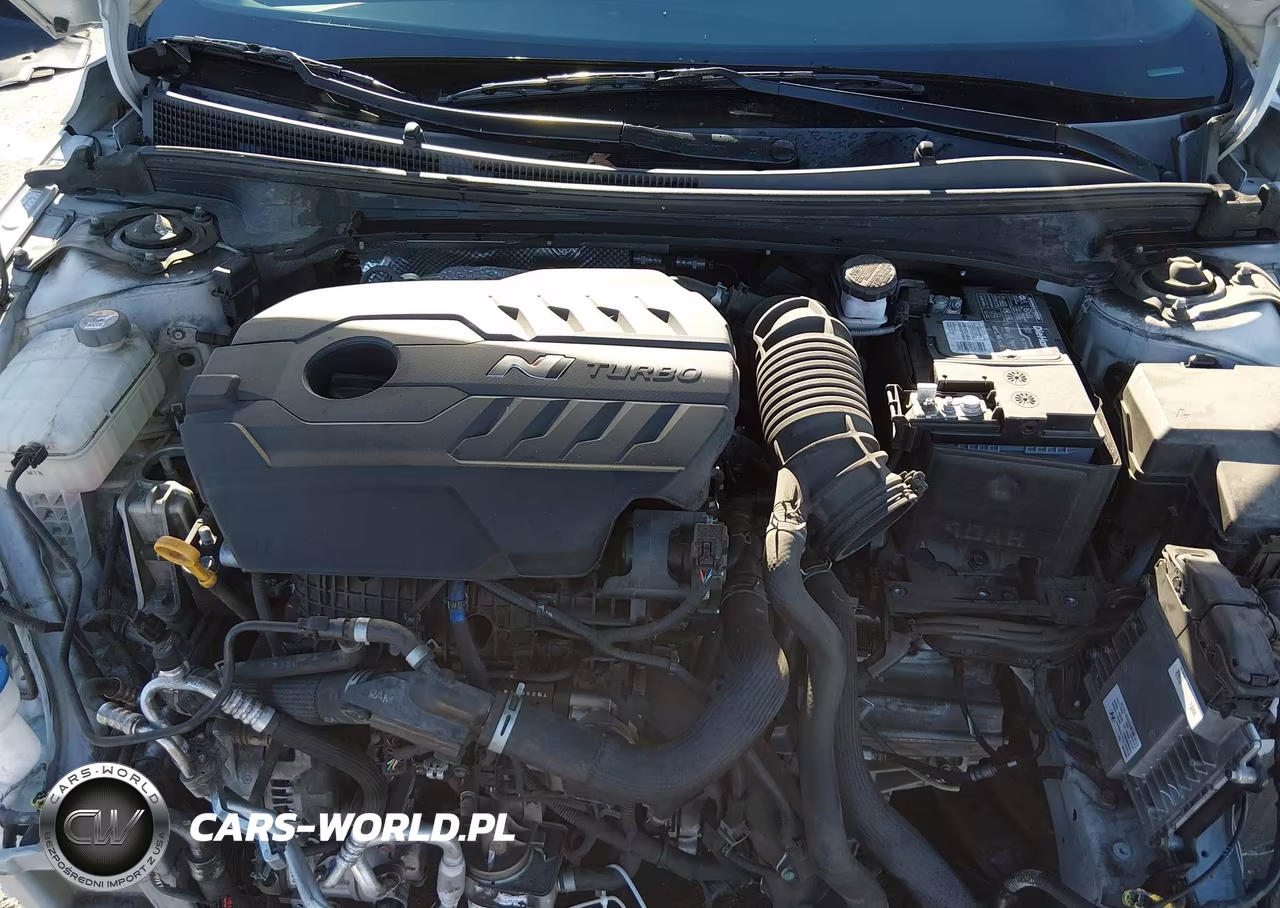 2022 Hyundai Elantra N VIN:KMHLW4AK8NU003419 - 10