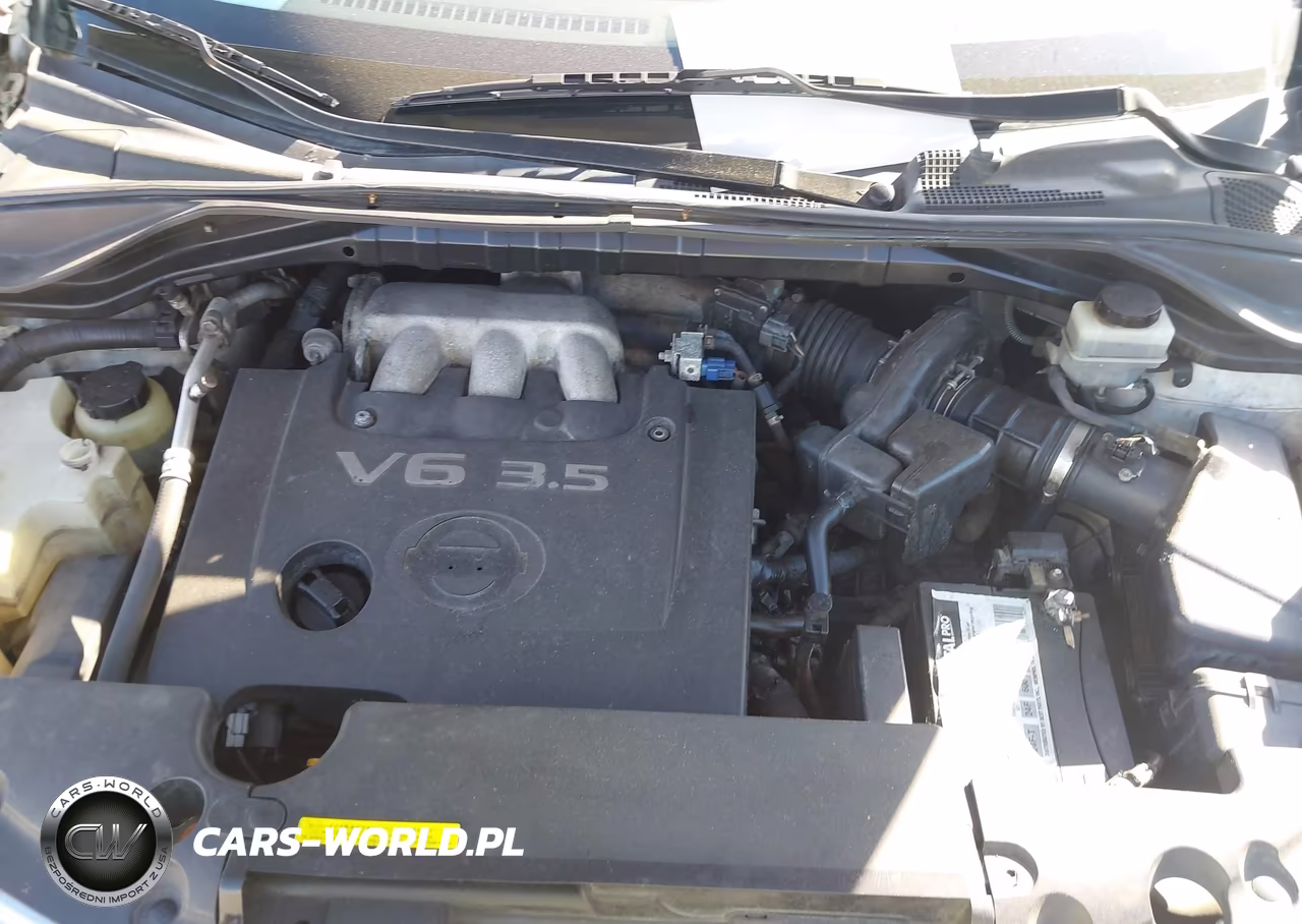 2004 Nissan Murano Sl VIN:JN8AZ08W94W328723 - 10