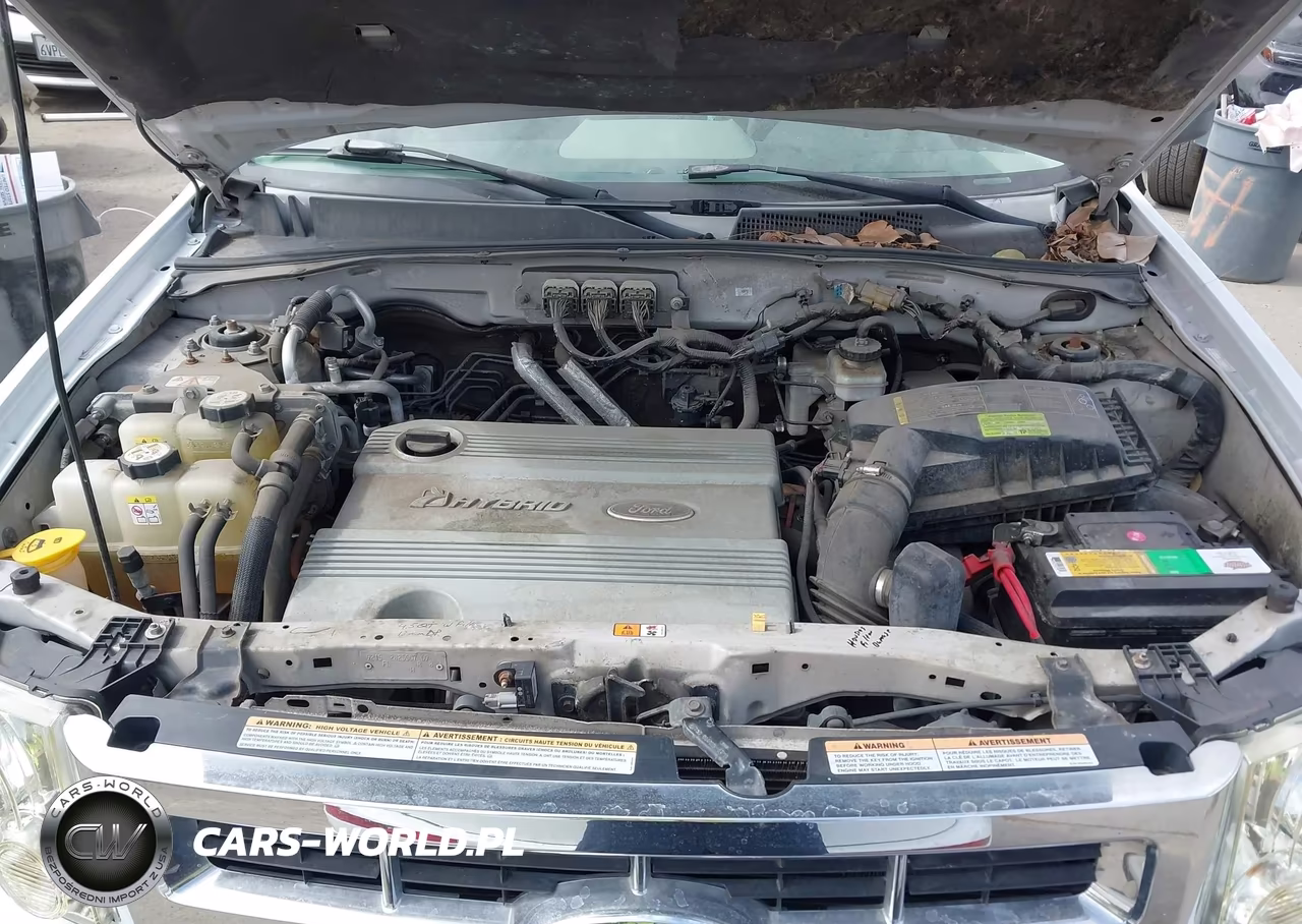 2008 Ford Escape Hybrid VIN:1FMCU49HX8KD68568 - 10