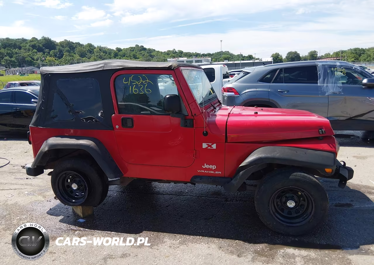 2003 Jeep Wrangler X VIN:1J4FA39S33P320528 - 14