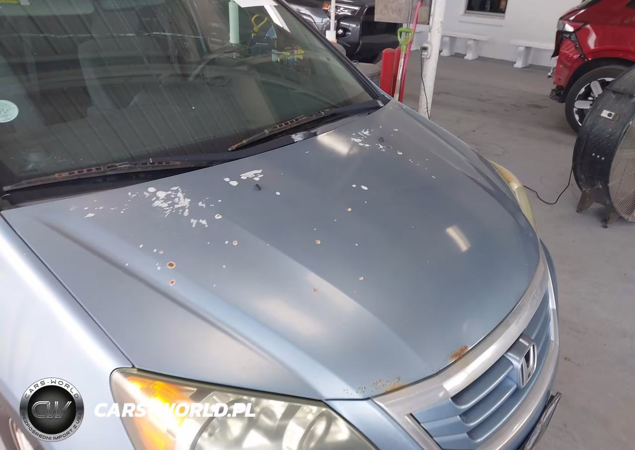 2009 Honda Odyssey Ex VIN:5FNRL38459B044825 - 12