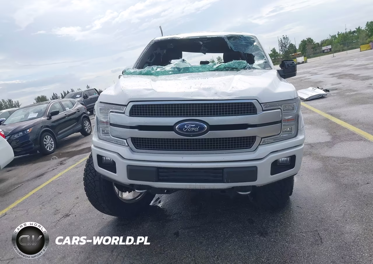 2018 Ford F-150 Platinum VIN:1FTEW1E53JFD58559 - 11