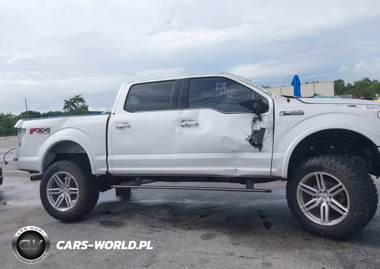 2018 Ford F-150 Platinum VIN:1FTEW1E53JFD58559 - 12