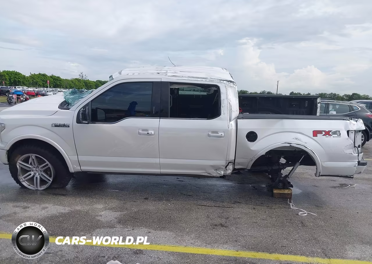 2018 Ford F-150 Platinum VIN:1FTEW1E53JFD58559 - 13