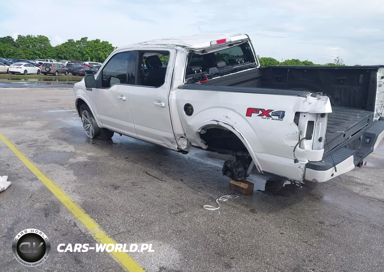 2018 Ford F-150 Platinum VIN:1FTEW1E53JFD58559 - 3