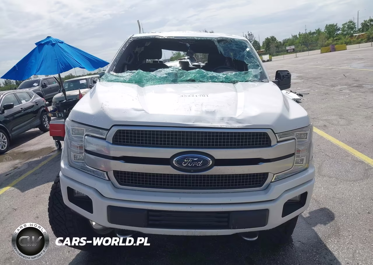 2018 Ford F-150 Platinum VIN:1FTEW1E53JFD58559 - 6