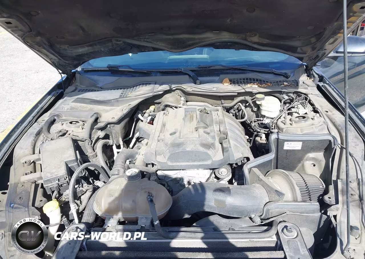 2016 Ford Mustang Ecoboost VIN:1FA6P8THXG5320628 - 10