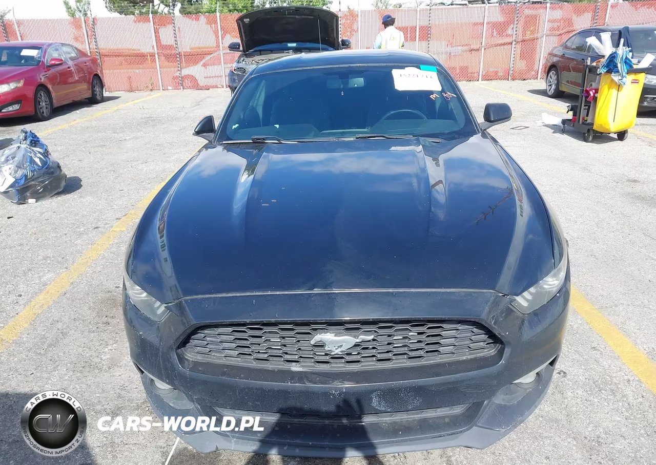 2016 Ford Mustang Ecoboost VIN:1FA6P8THXG5320628 - 13