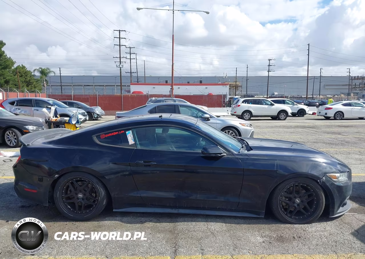 2016 Ford Mustang Ecoboost VIN:1FA6P8THXG5320628 - 14