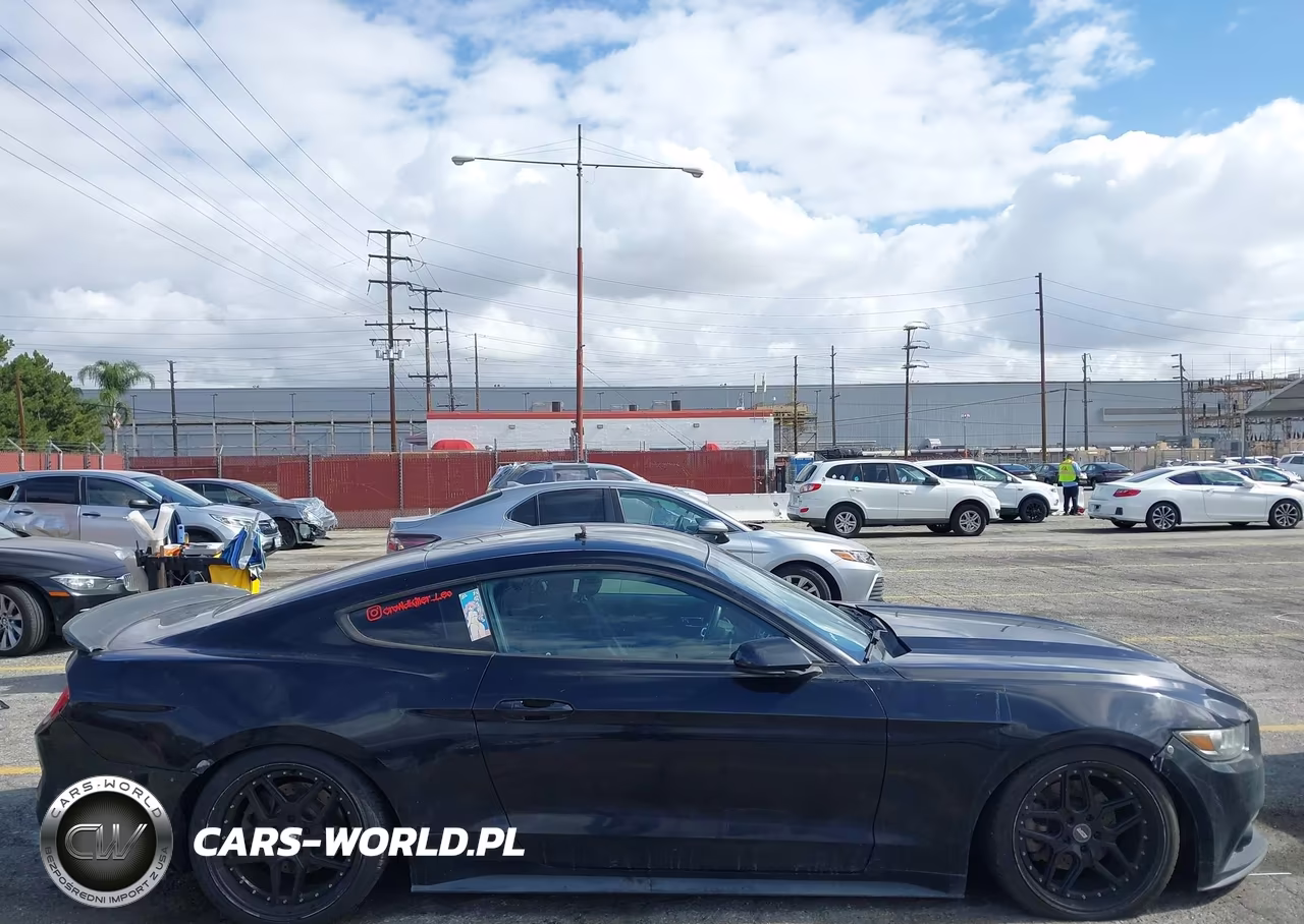 2016 Ford Mustang Ecoboost VIN:1FA6P8THXG5320628 - 19