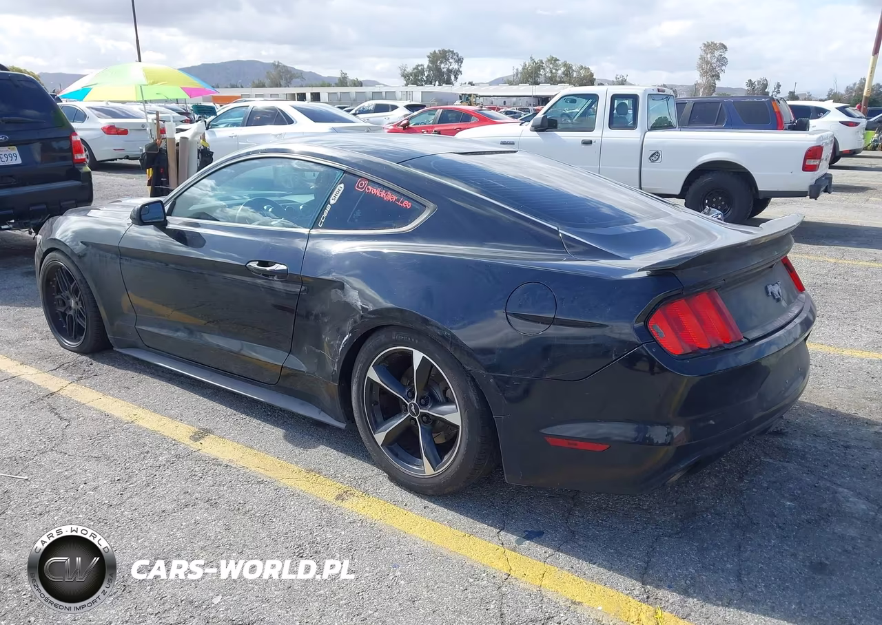 2016 Ford Mustang Ecoboost VIN:1FA6P8THXG5320628 - 3