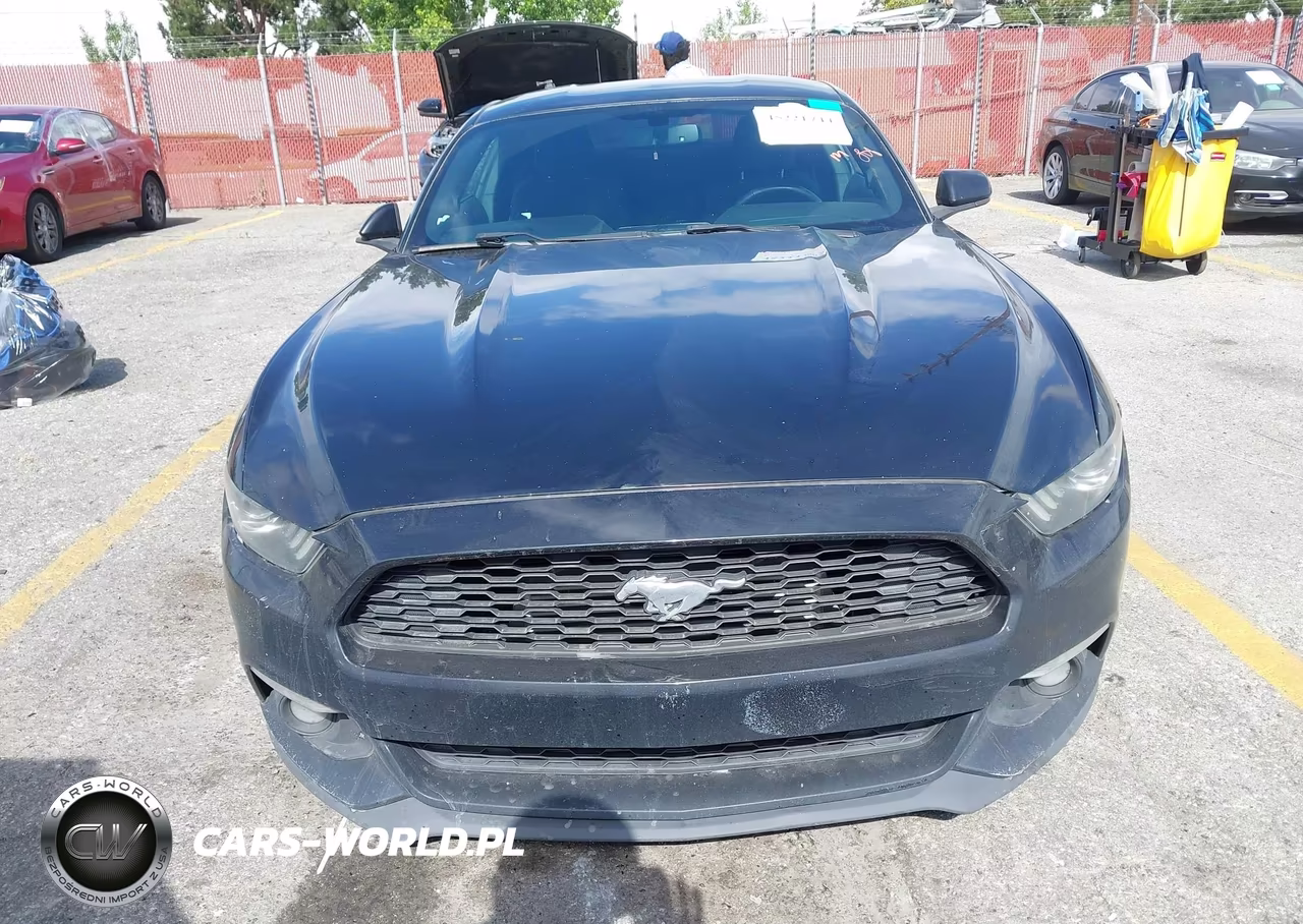 2016 Ford Mustang Ecoboost VIN:1FA6P8THXG5320628 - 6