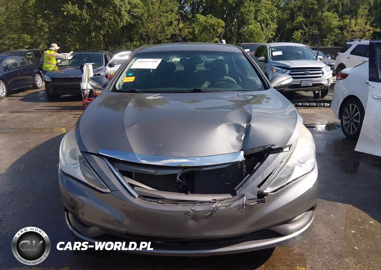 2014 Hyundai Sonata Gls VIN:5NPEB4AC9EH941067 - 13