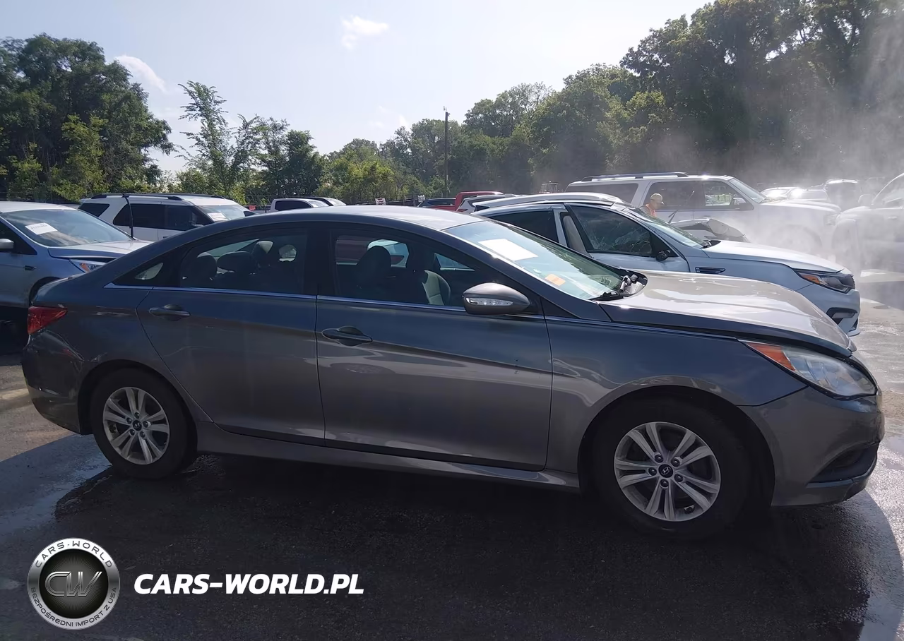 2014 Hyundai Sonata Gls VIN:5NPEB4AC9EH941067 - 14