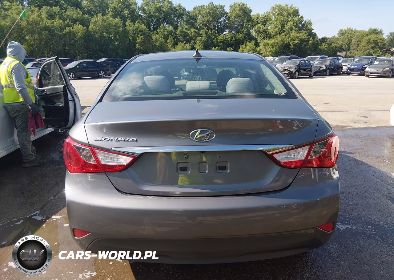 2014 Hyundai Sonata Gls VIN:5NPEB4AC9EH941067 - 17