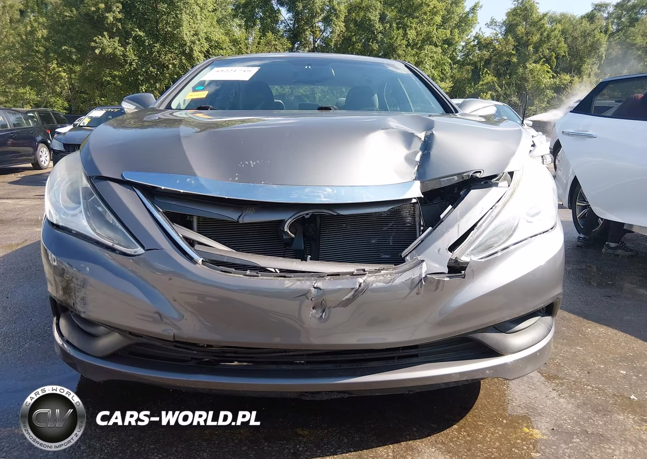 2014 Hyundai Sonata Gls VIN:5NPEB4AC9EH941067 - 6