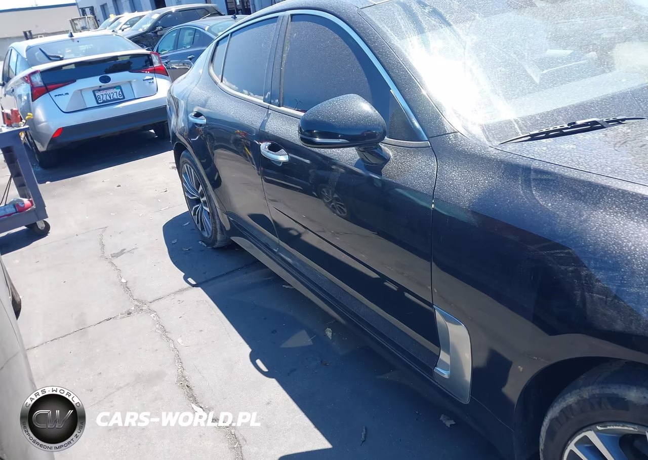 2018 Kia Stinger Premium VIN:KNAE25LA3J6013922 - 13