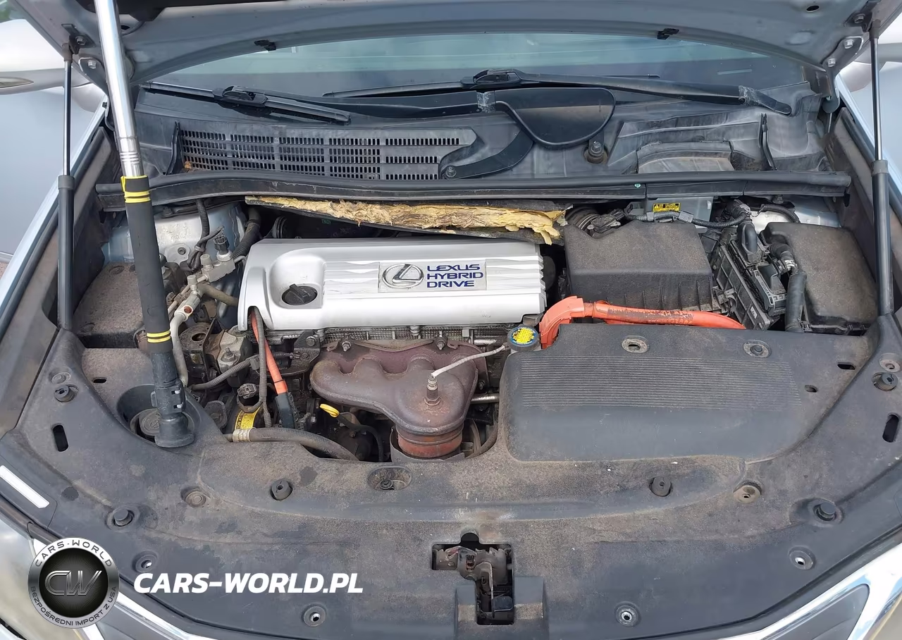 2010 Lexus Hs 250H Premium VIN:JTHBB1BA4A2002921 - 10