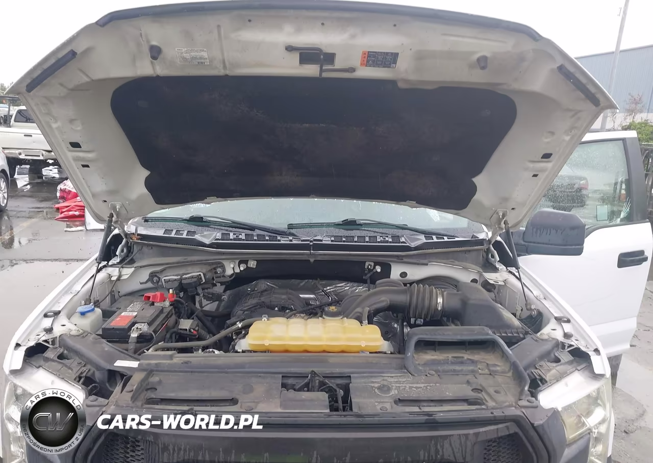 FORD F150 SUPER VIN:1FTEX1C87HKE24171 - 10