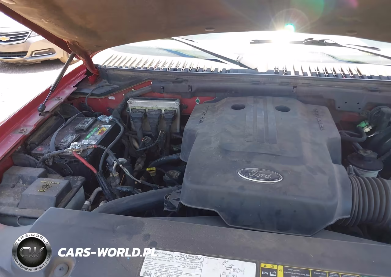 2004 Ford Expedition Eddie Bauer VIN:1FMEU17W54LB68906 - 10