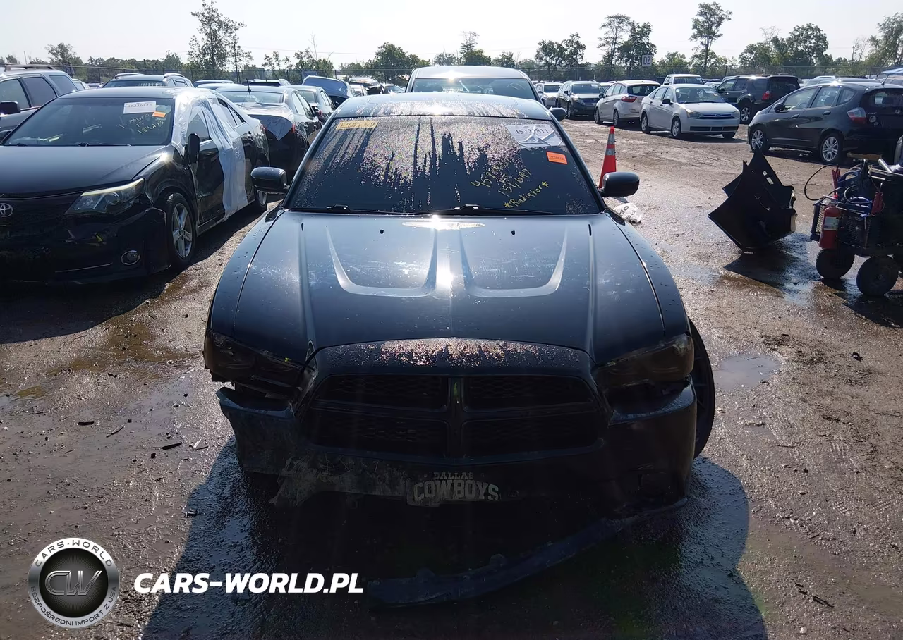 2014 Dodge Charger Road-Track VIN:2C3CDXCT7EH145169 - 13
