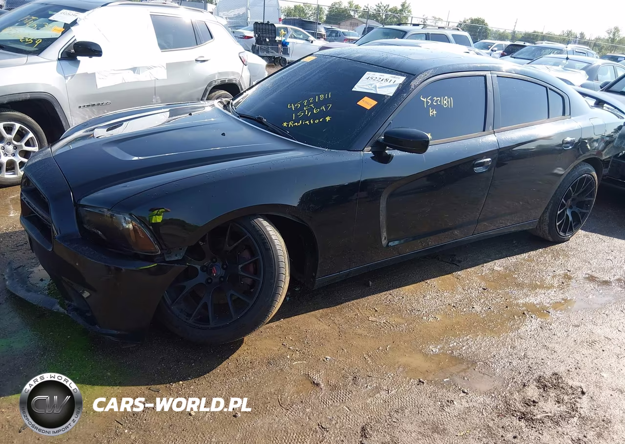 2014 Dodge Charger Road-Track VIN:2C3CDXCT7EH145169 - 2
