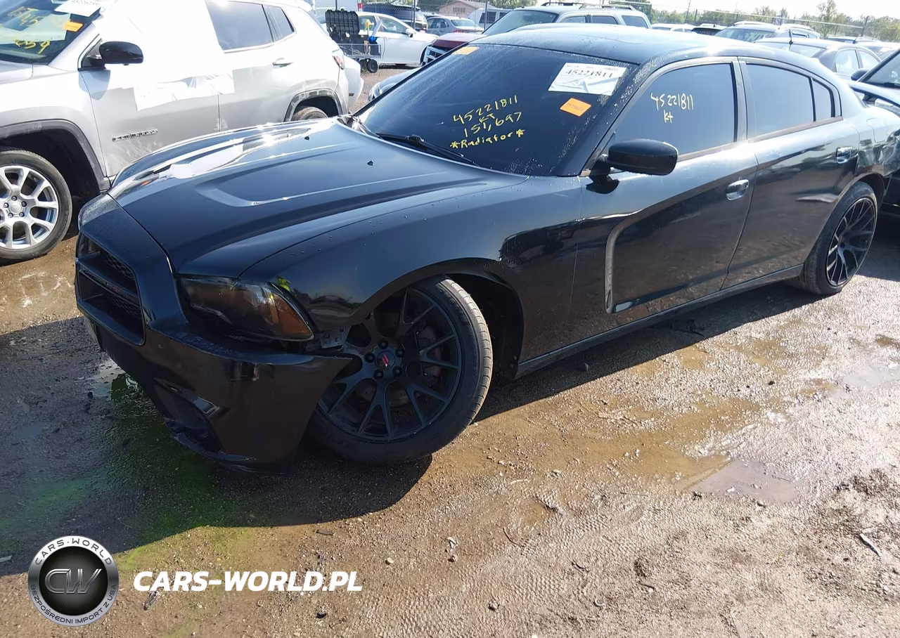 2014 Dodge Charger Road-Track VIN:2C3CDXCT7EH145169 - 6