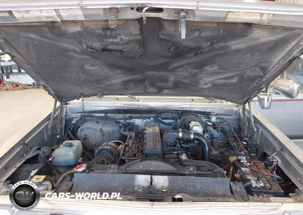 1993 Dodge W-Series W200-W250 VIN:1B7KM26C2PS252664 - 10