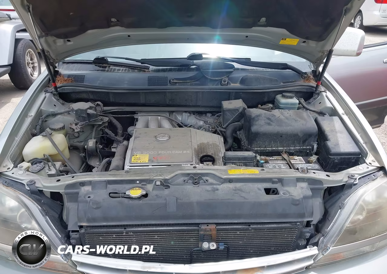 2001 Lexus Rx 300 VIN:JTJHF10U710176343 - 10